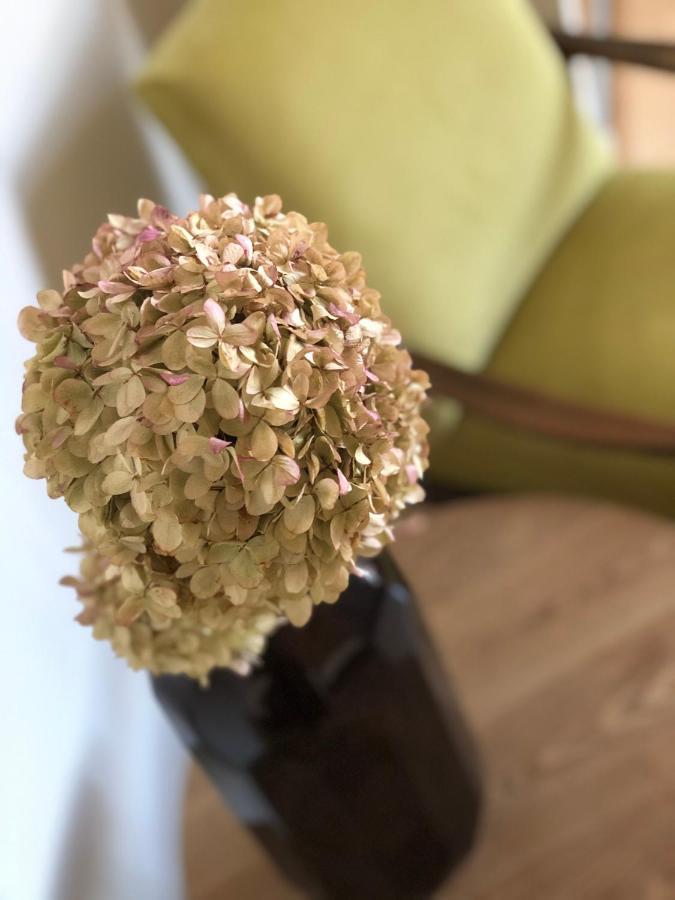 Boutique Rezidence Baar Apart otel Nový Jičín Dış mekan fotoğraf
