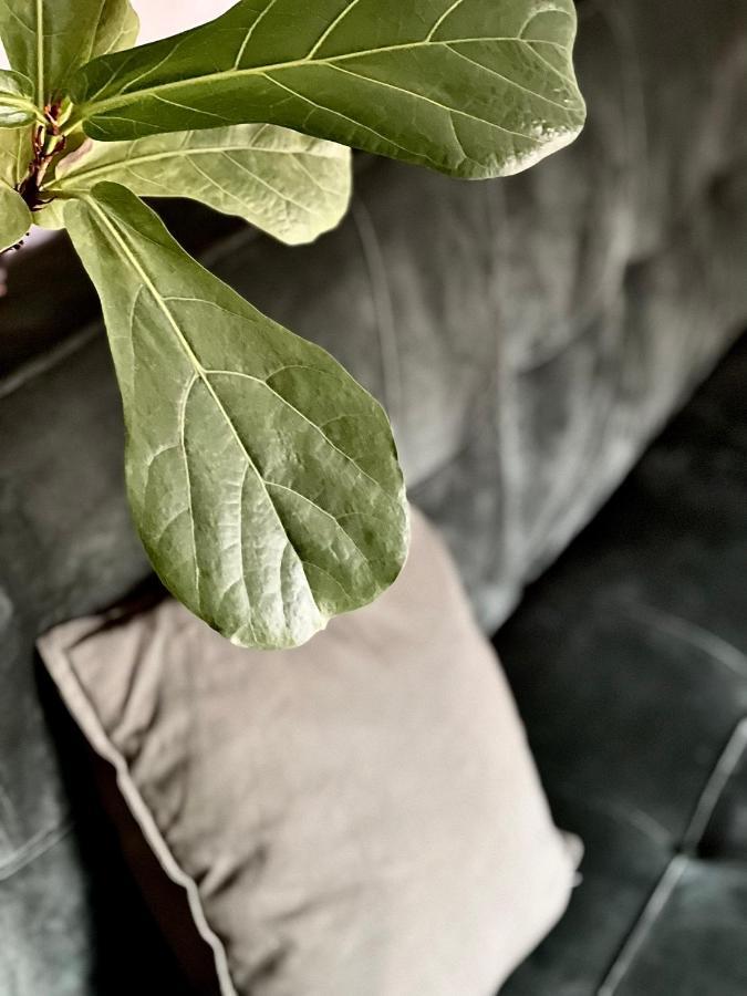 Boutique Rezidence Baar Apart otel Nový Jičín Dış mekan fotoğraf